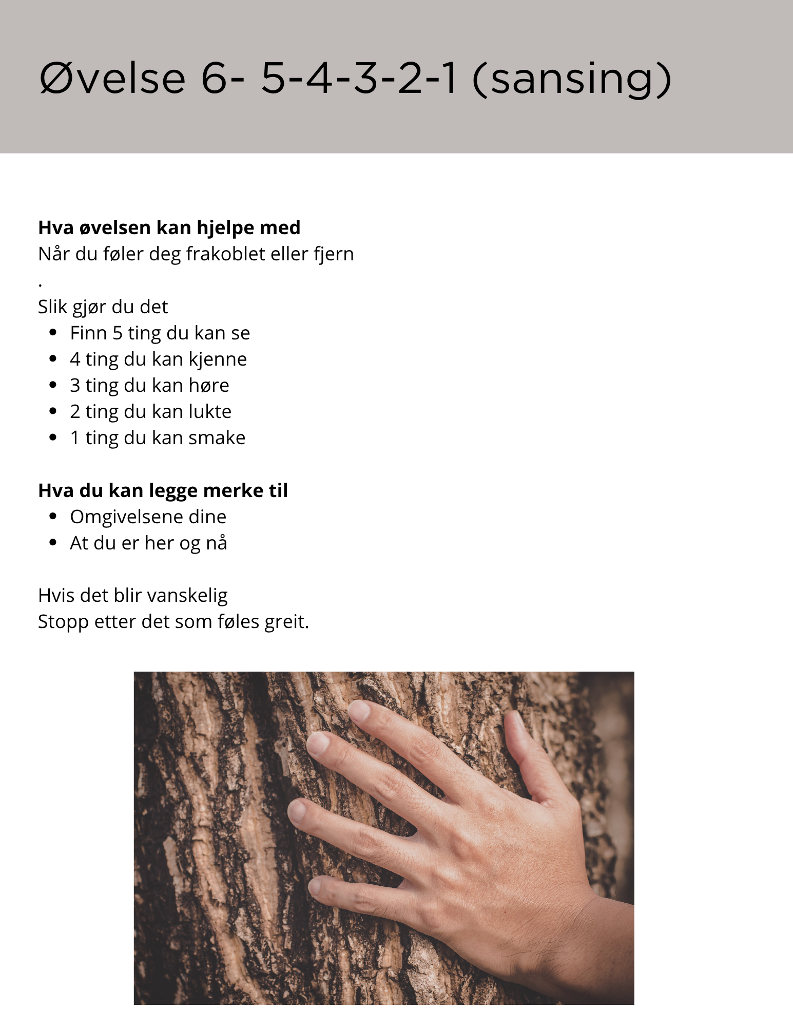 E-bok reguleringsøvelser