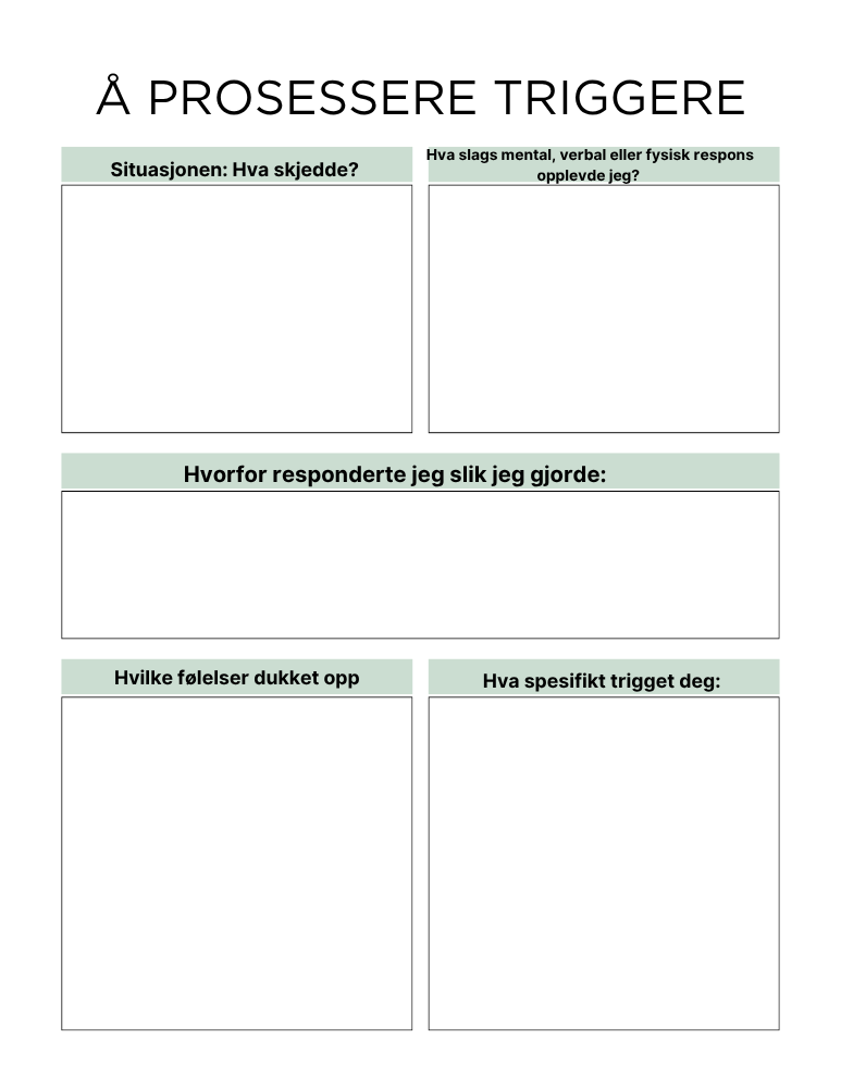 E-bok PTSD og traumer