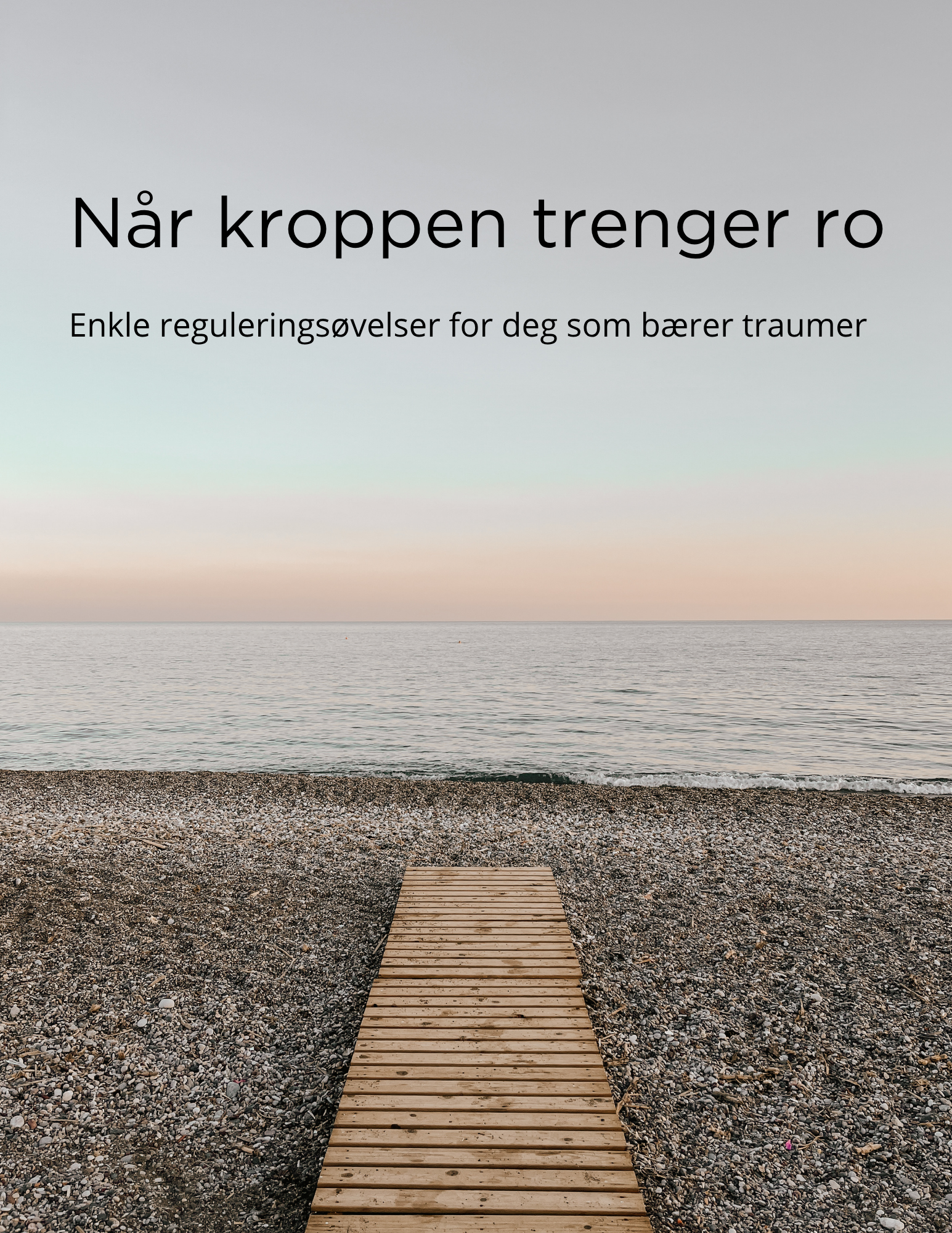 E-bok reguleringsøvelser
