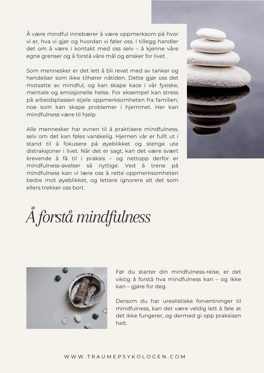E-bok mindfulness