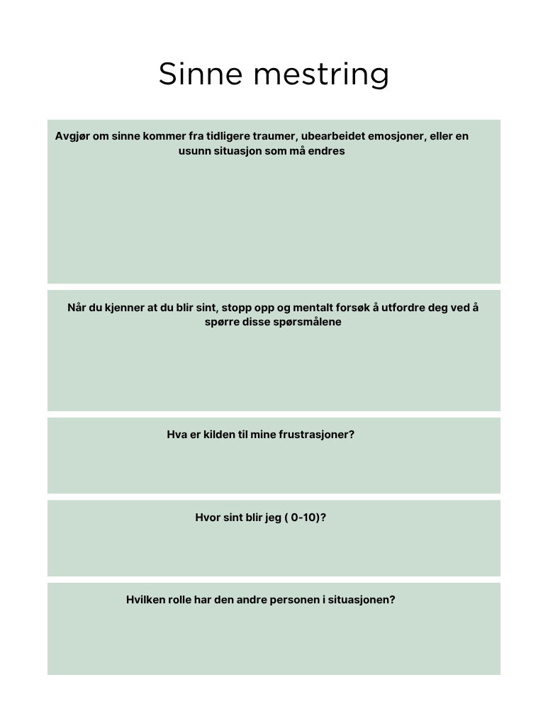 E-bok PTSD og traumer