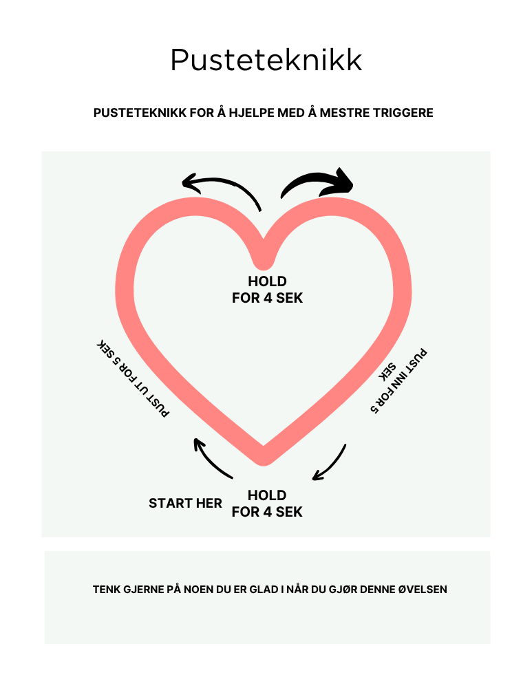 E-bok PTSD og traumer