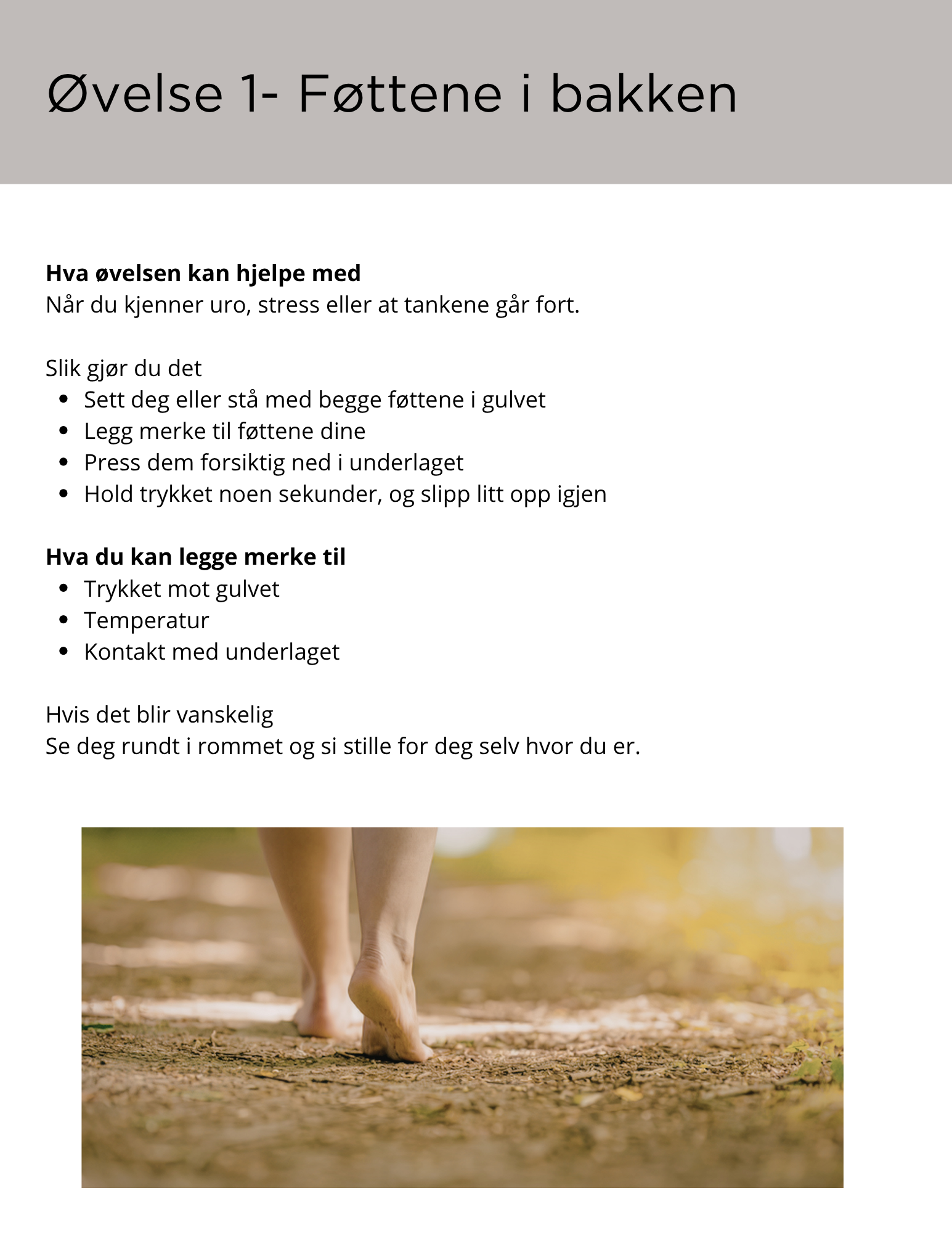 E-bok reguleringsøvelser