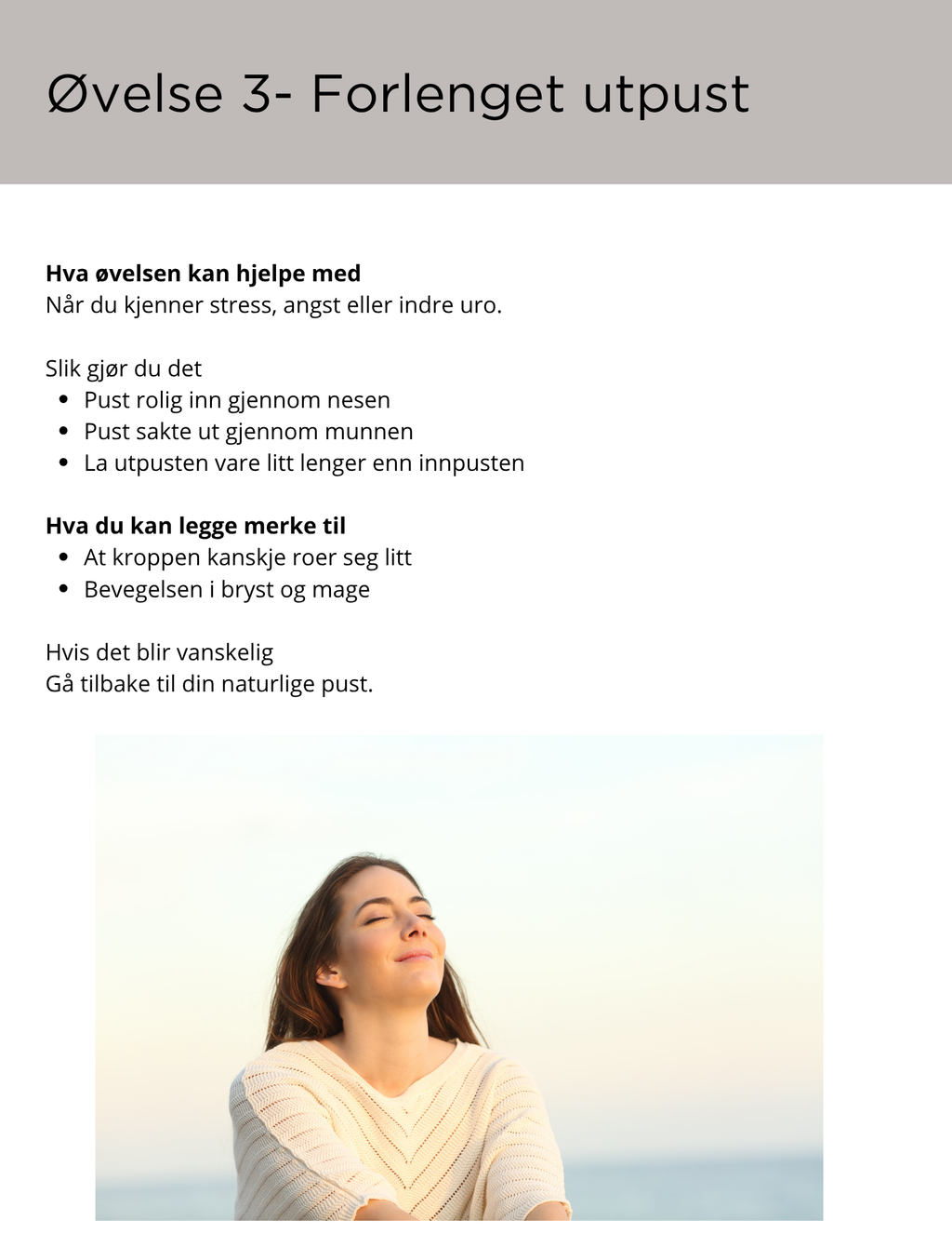 E-bok reguleringsøvelser
